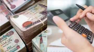 توقعات أسعار الفائدة ترفع تنافسية شهادات الادخار بالبنوك المصرية لعائد 22%
